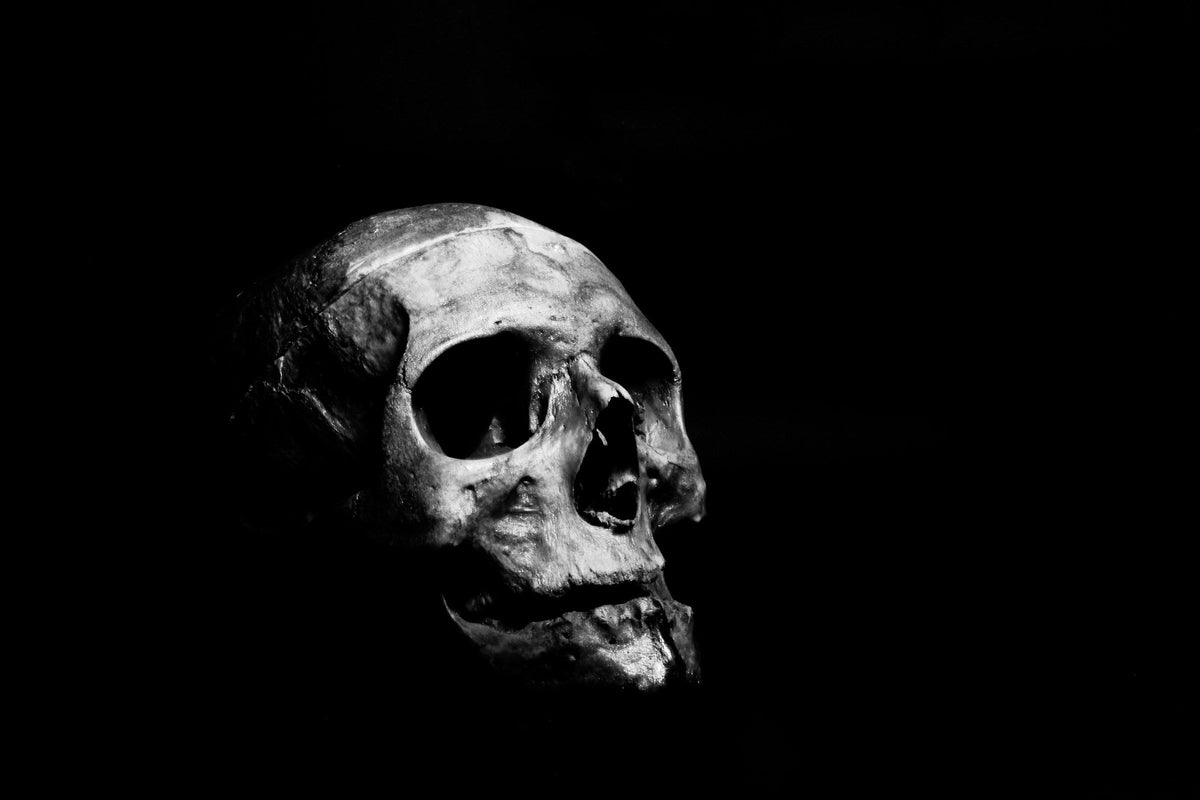 Photo by Ahmed Adly on Unsplash.
